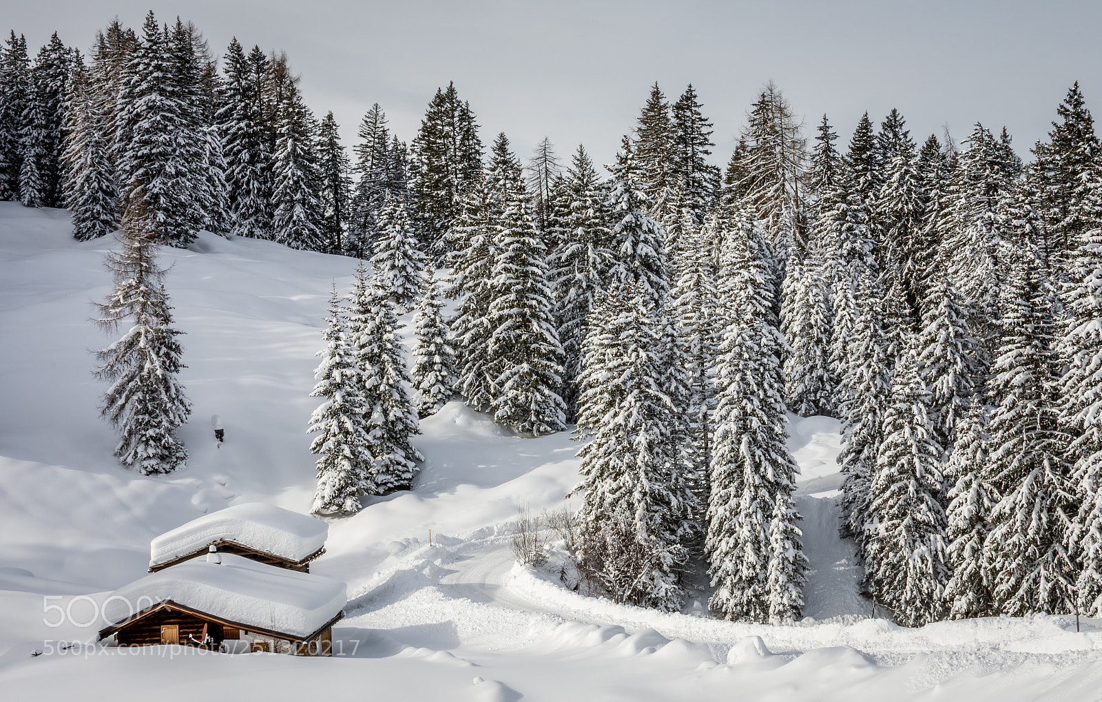 Nikon D7200 sample photo. Winter in switzerland photography
