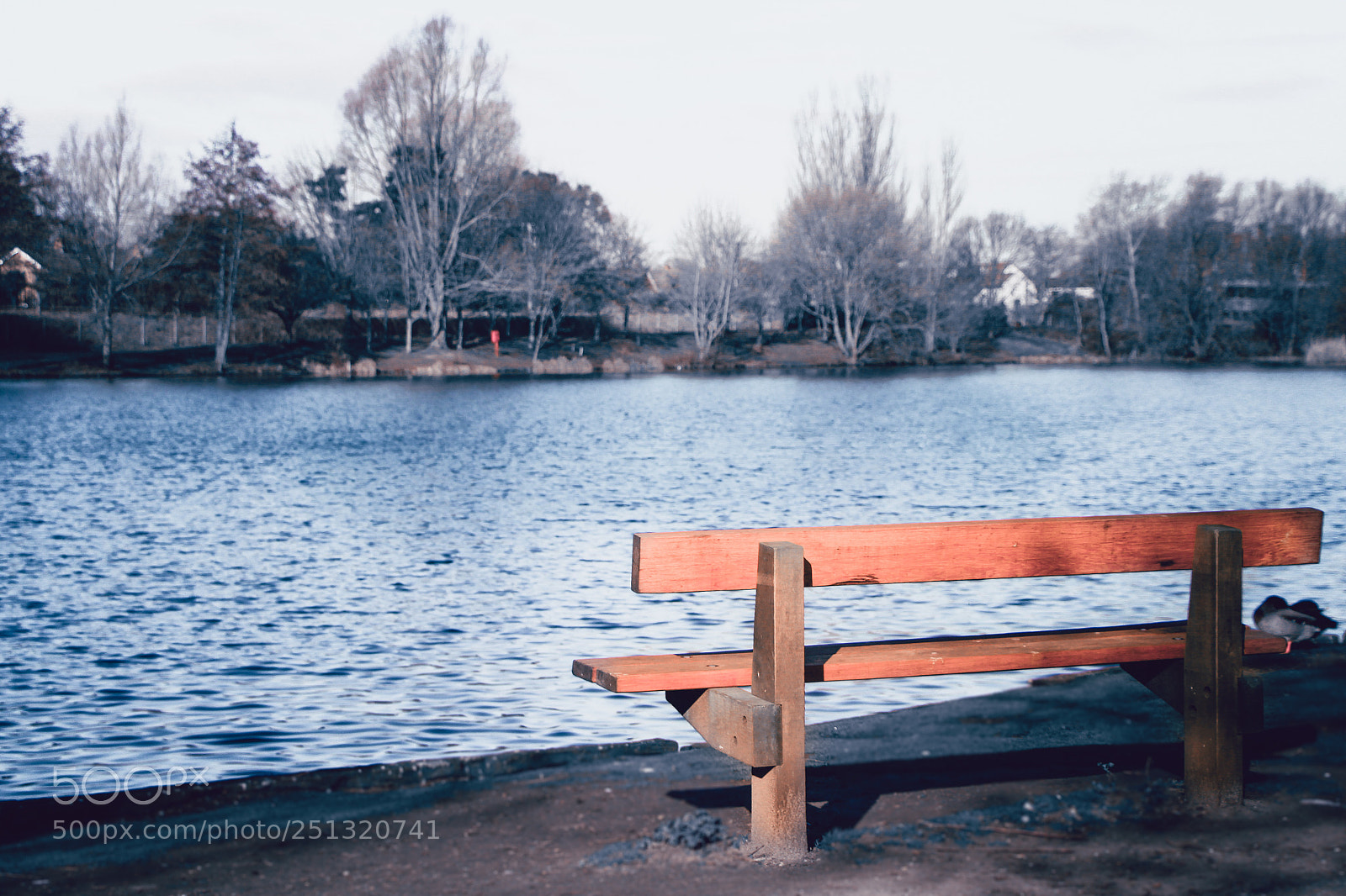 Canon EOS 700D (EOS Rebel T5i / EOS Kiss X7i) sample photo. A bench overlooking needham photography