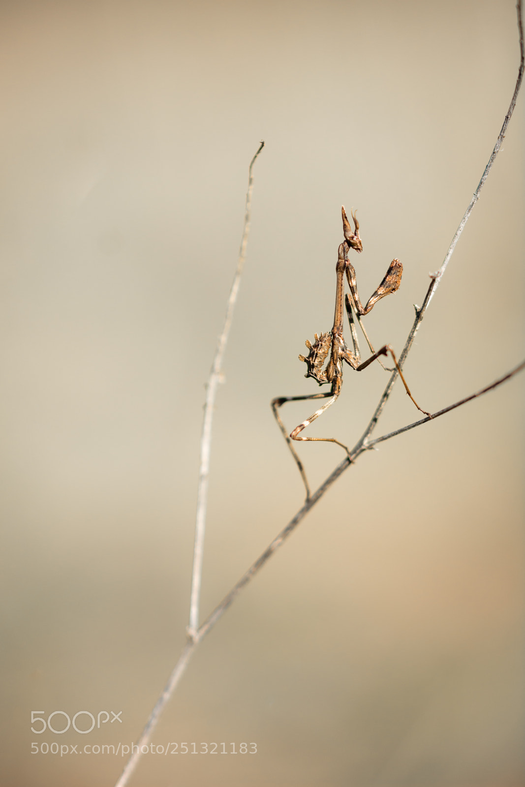 Nikon D7100 sample photo. Avec le beau temps photography