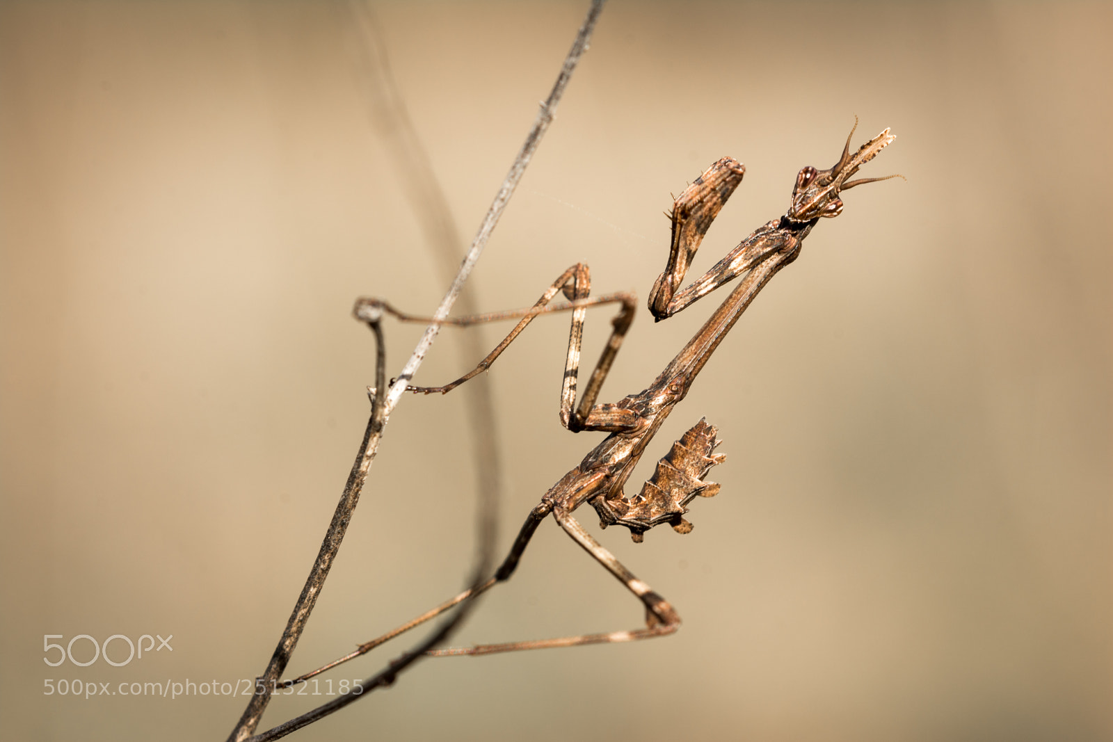 Nikon D7100 sample photo. Avec le beau temps photography