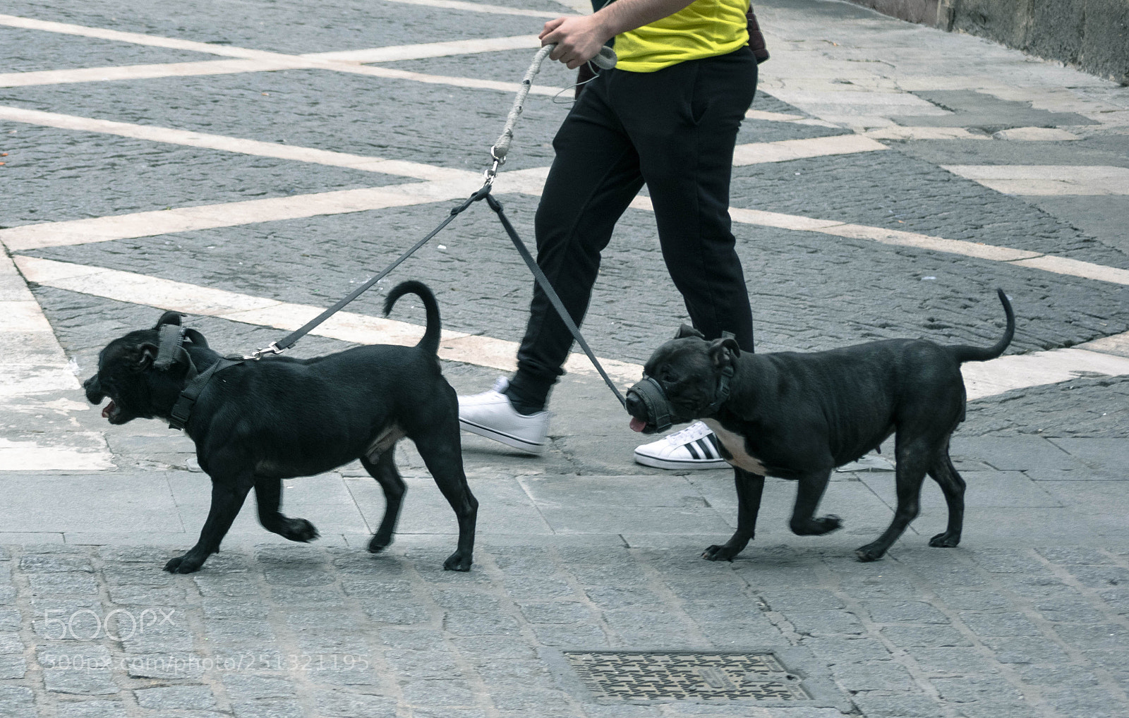 Nikon D3300 sample photo. De paseo photography