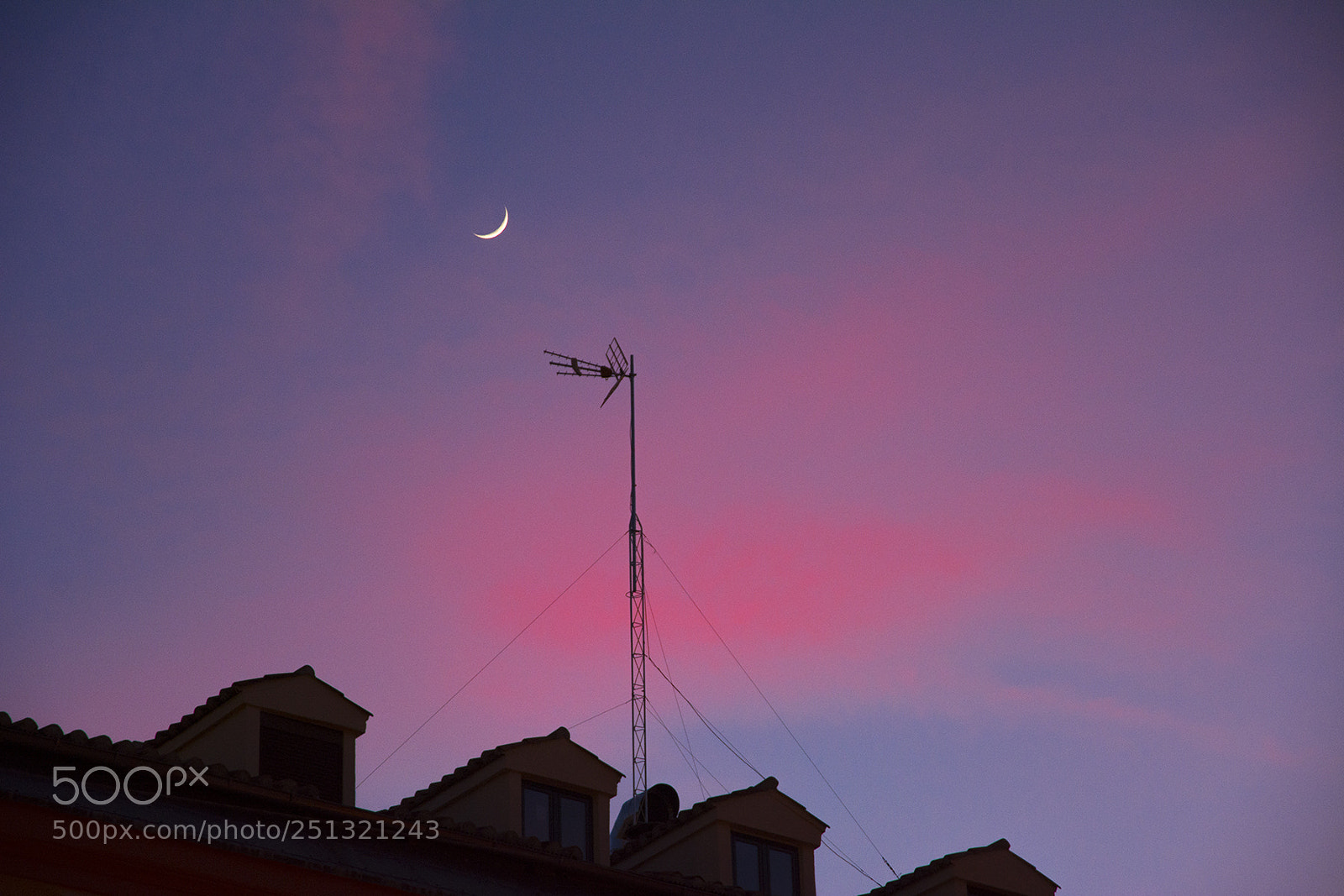 Nikon D7100 sample photo. Madrid rose photography