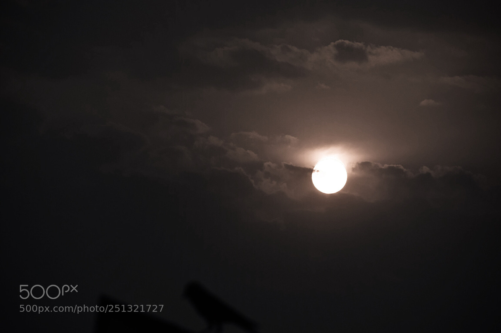 Nikon D3300 sample photo. Cf e acabd photography