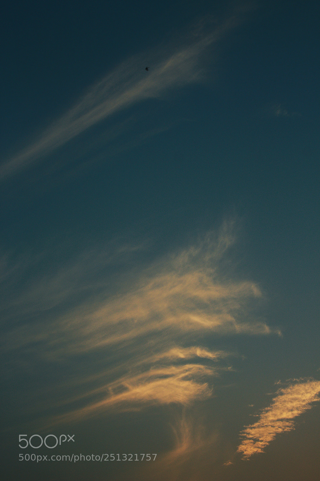 Canon EOS 700D (EOS Rebel T5i / EOS Kiss X7i) sample photo. Daadceaaefad photography