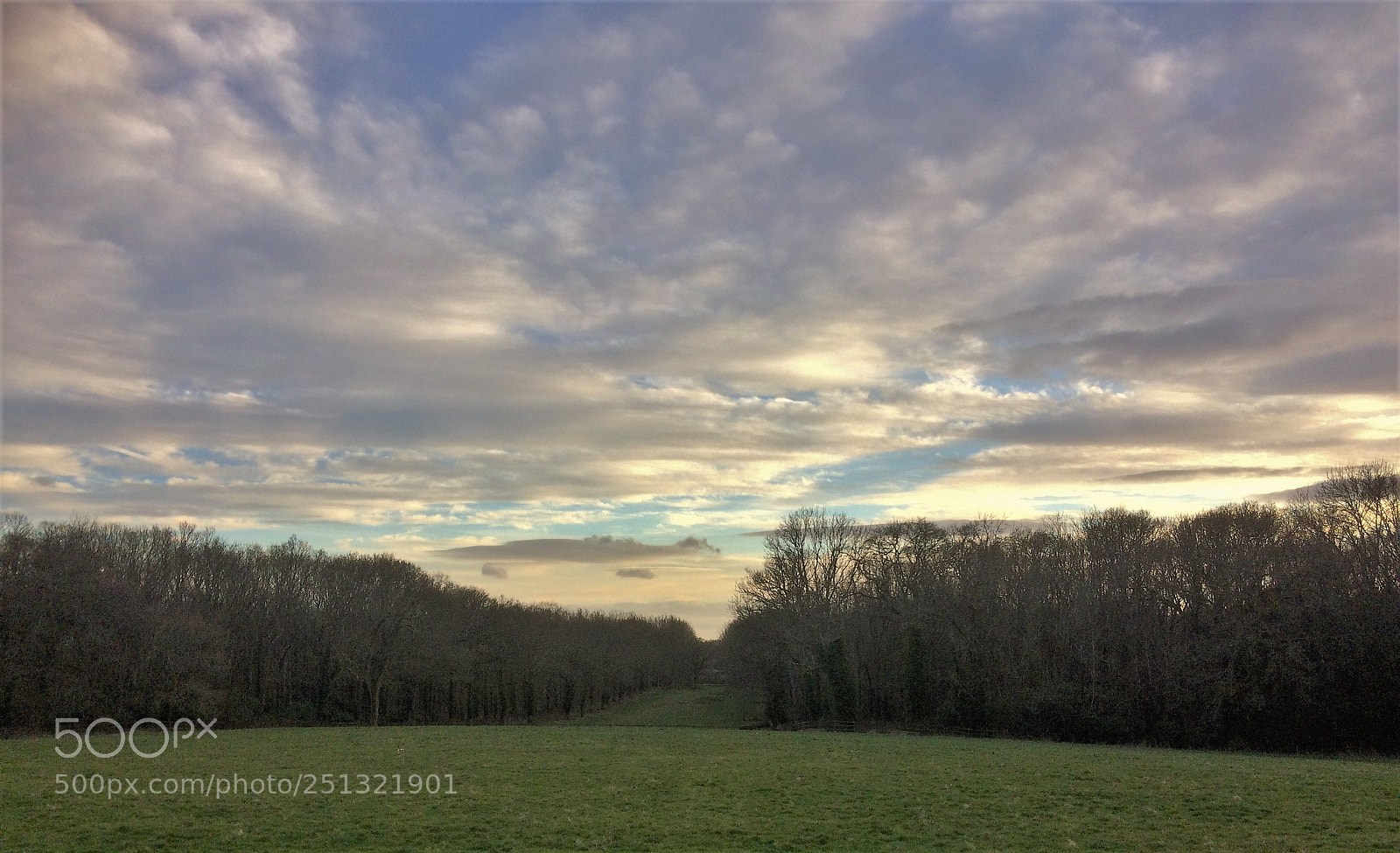 Apple iPhone 5s sample photo. Holywell boulevard march 2018 photography
