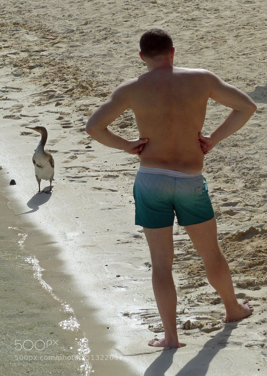 Panasonic Lumix DMC-FZ200 sample photo. Encounter on the beach photography