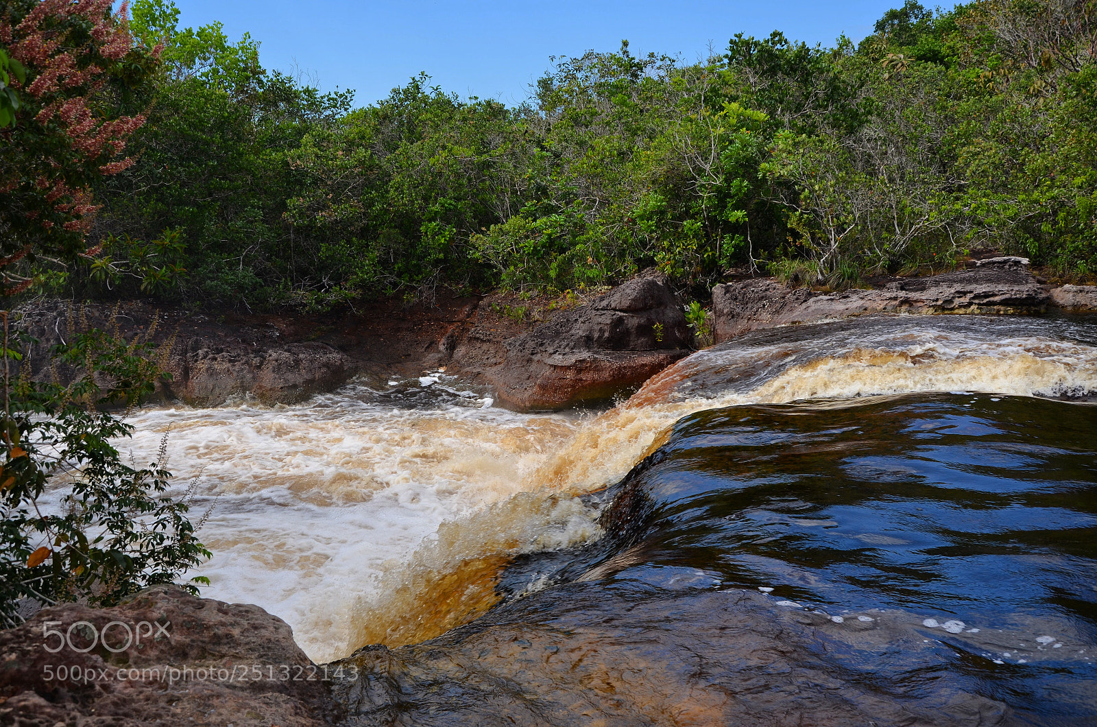 Nikon D7000 sample photo. Amazon ? brazil photography