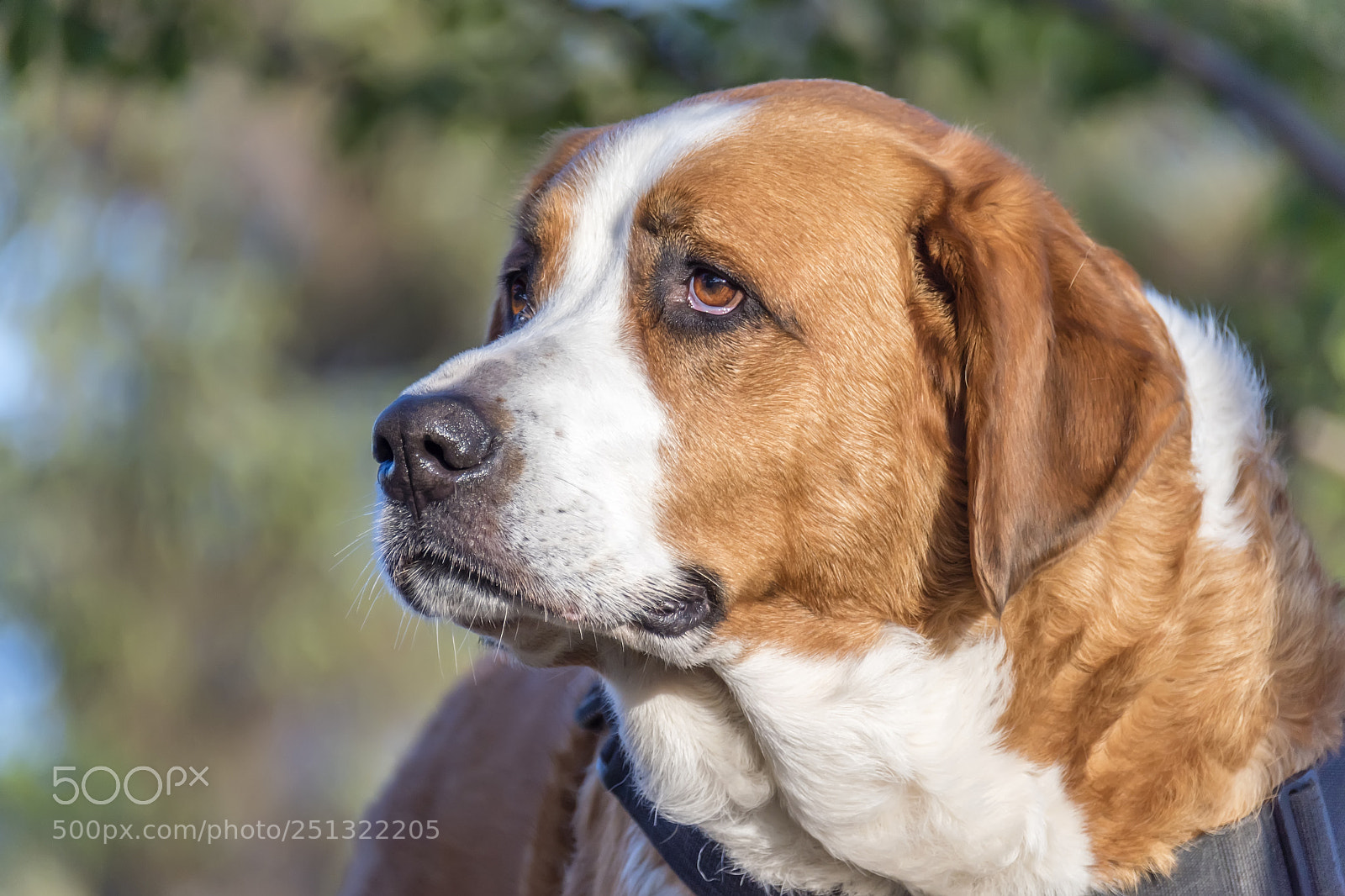 Nikon D810 sample photo. Are we still friends? photography