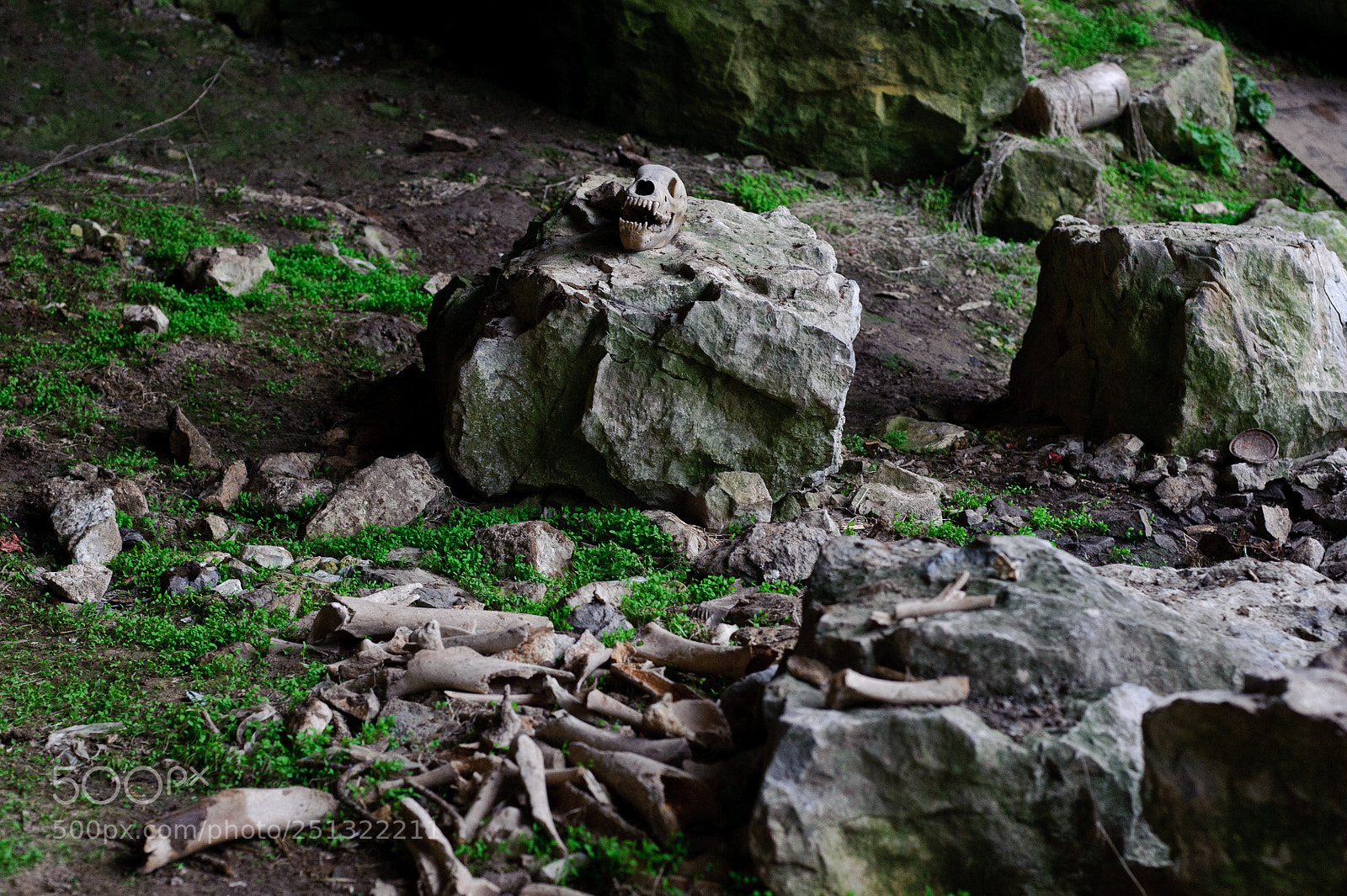 Nikon D700 sample photo. Чаньвинская пещера photography