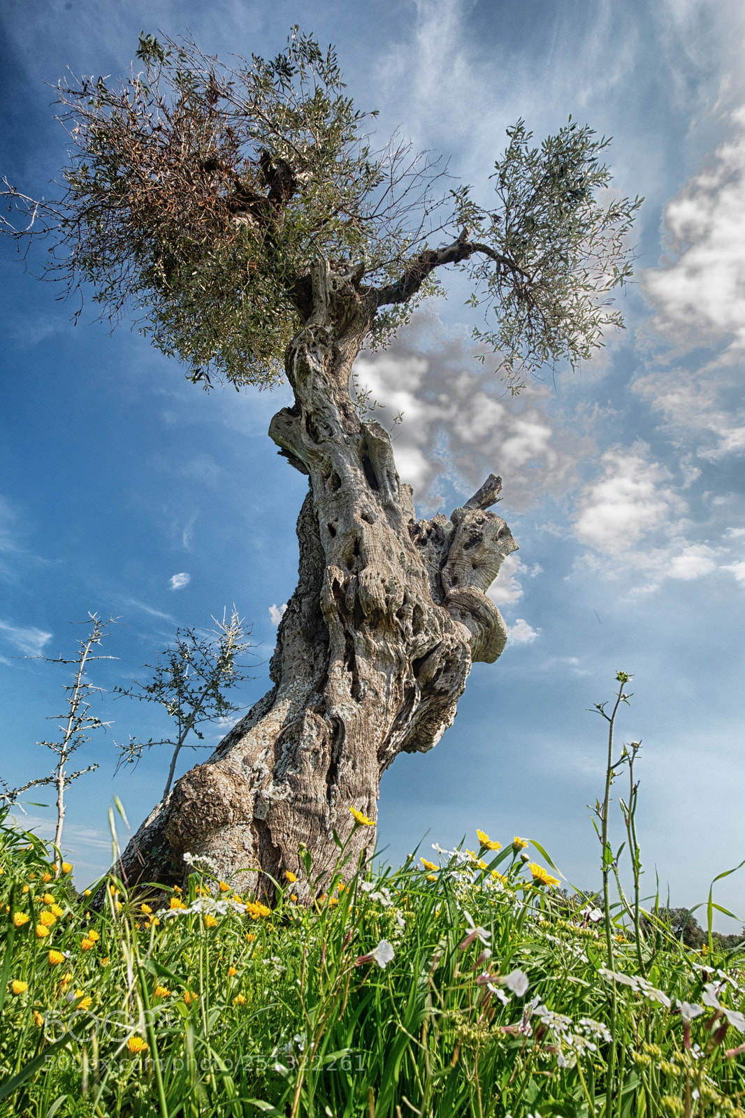 Nikon D7100 sample photo. Modifica photography