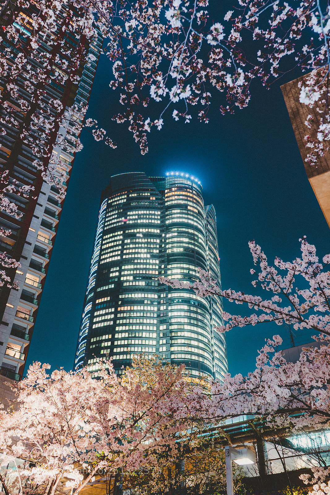 Sony a7 III sample photo. Roppongi photography