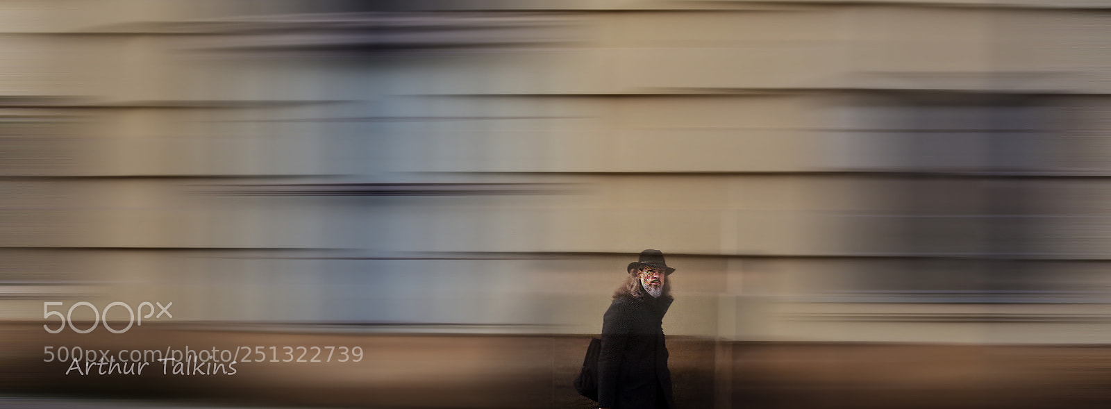 Pentax K-1 sample photo. The visitor in town.... photography