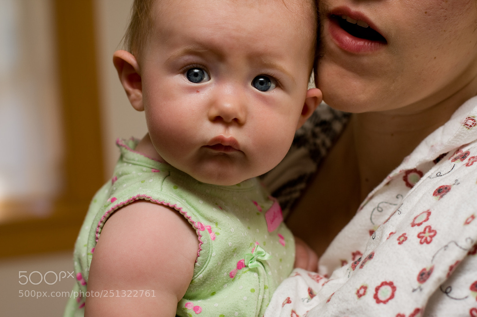 Canon EOS 40D sample photo. Iris photography