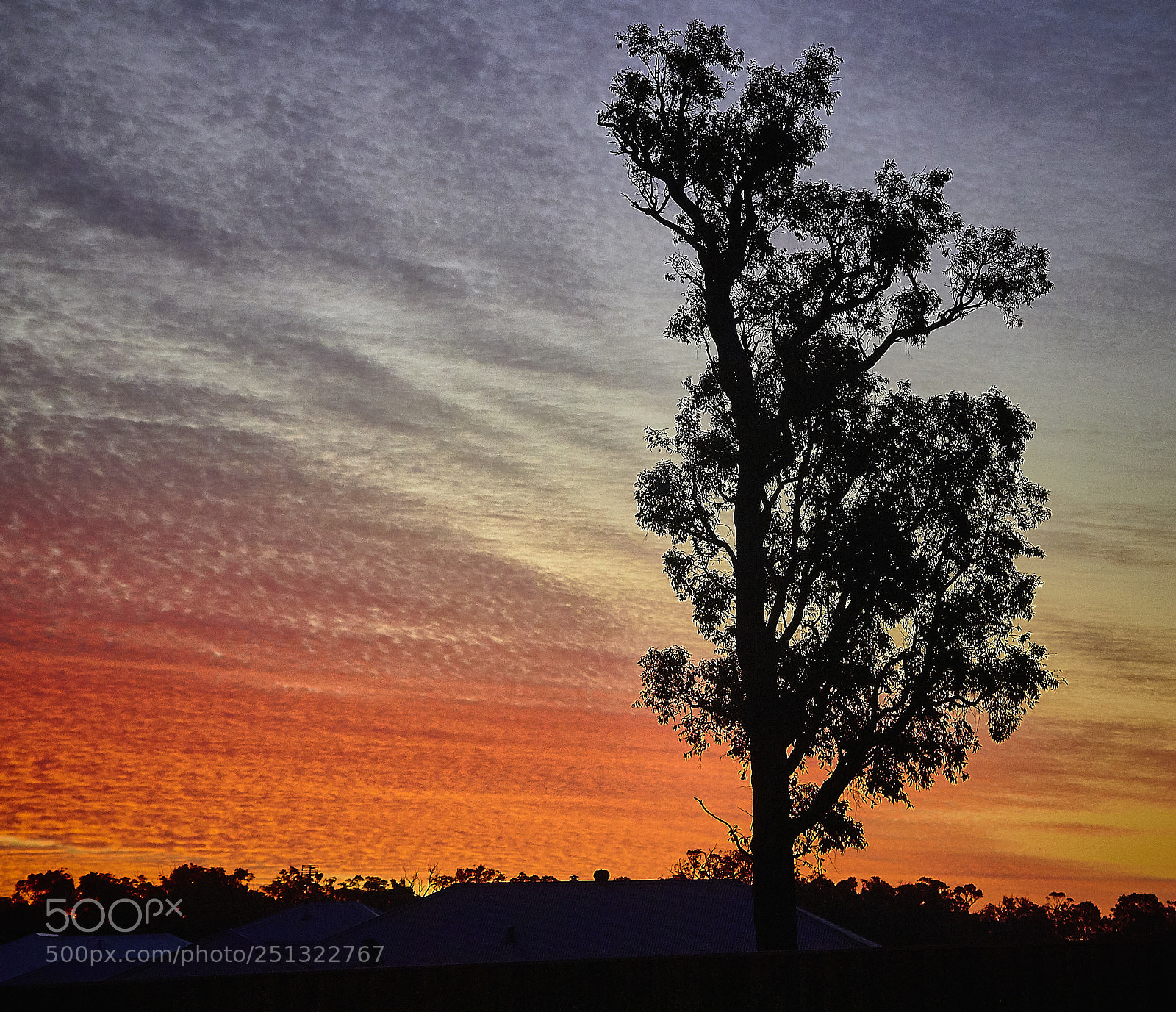 Canon EOS 60D sample photo. Amazing sunset photography