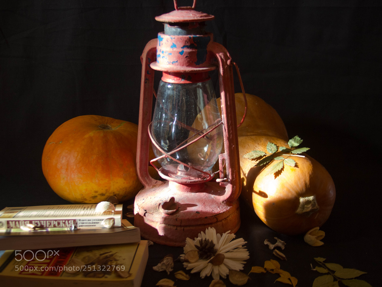 Canon EOS 60D sample photo. Свет осени photography