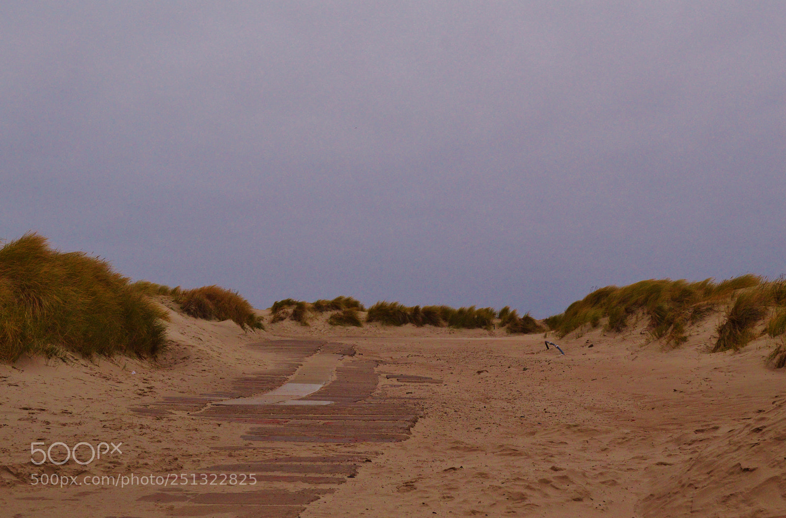Nikon D3200 sample photo. A way out of photography