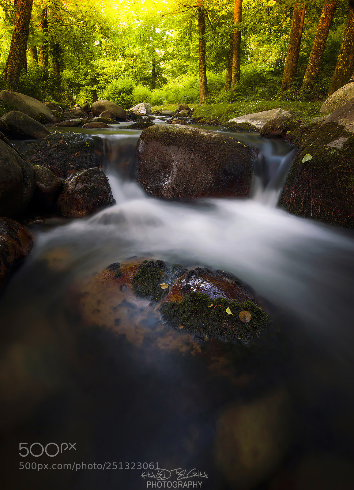 Nikon D600 sample photo. Valley photography