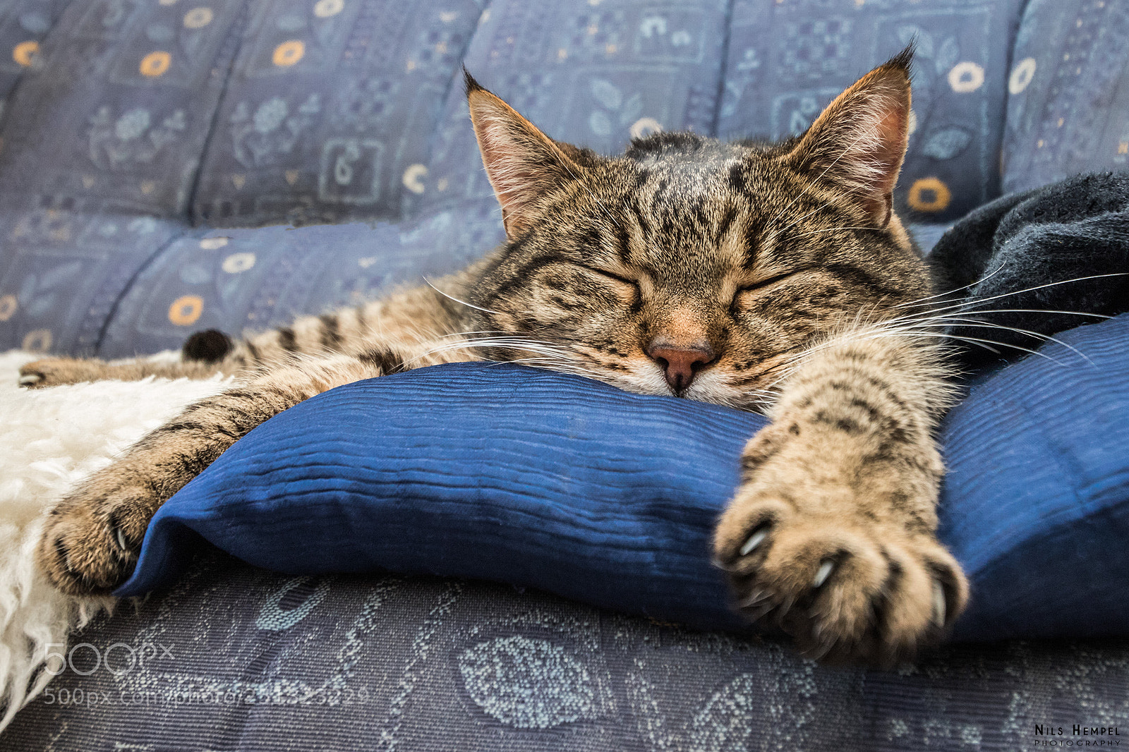 Canon EOS 77D (EOS 9000D / EOS 770D) sample photo. Midday dreaming photography