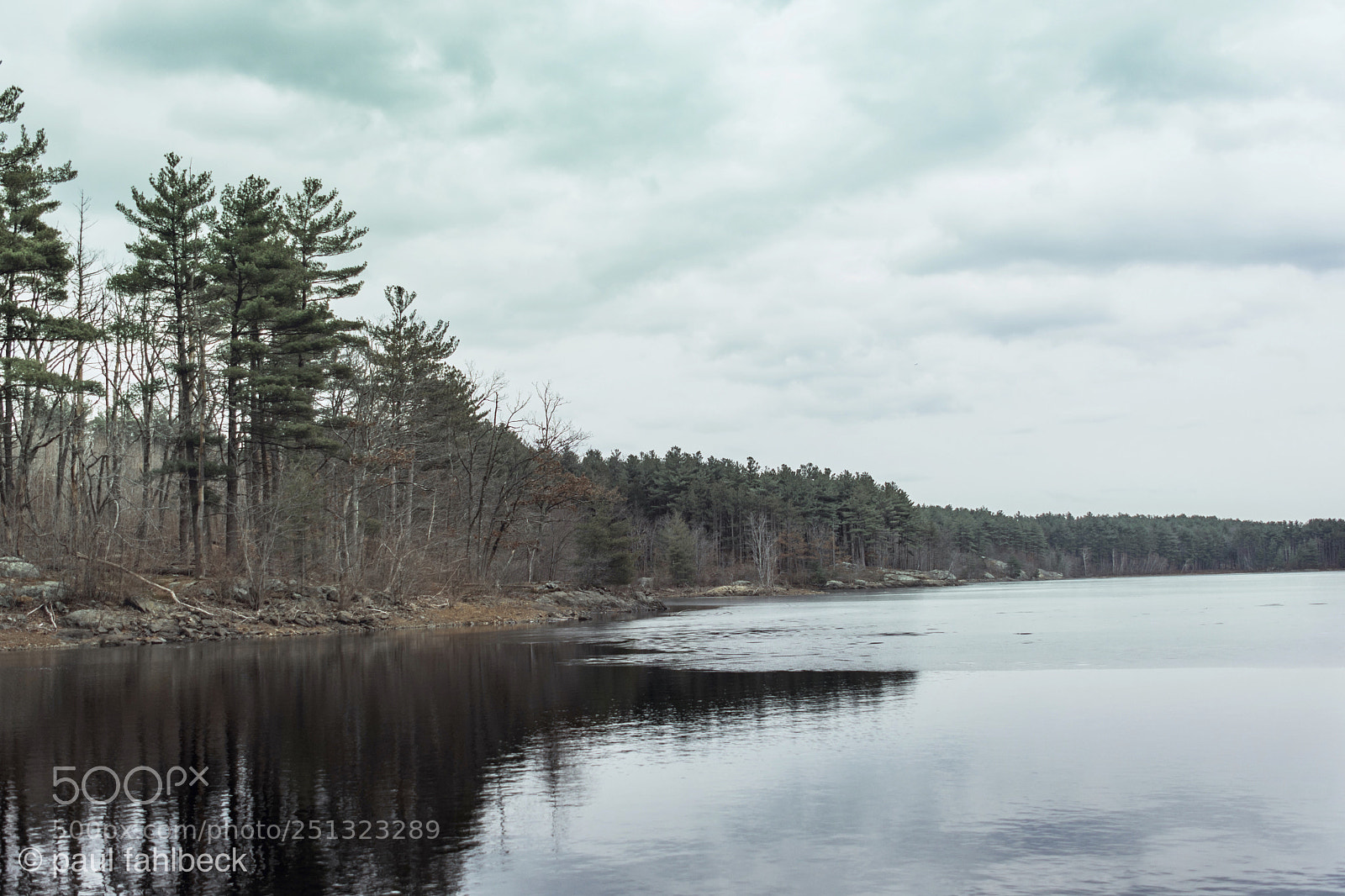 Nikon D7200 sample photo. Spring photography