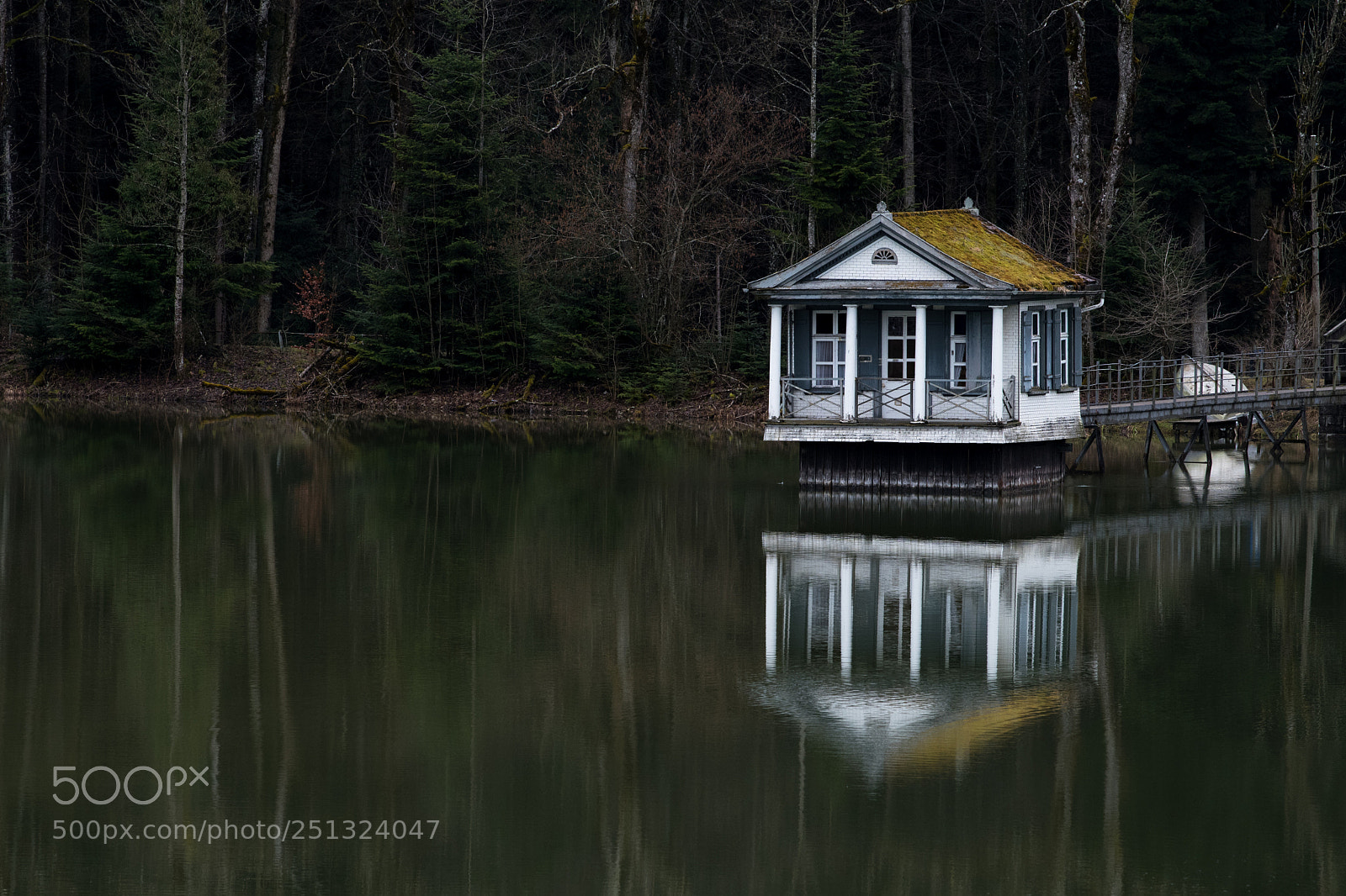 Nikon D500 sample photo. Fischerhaus photography