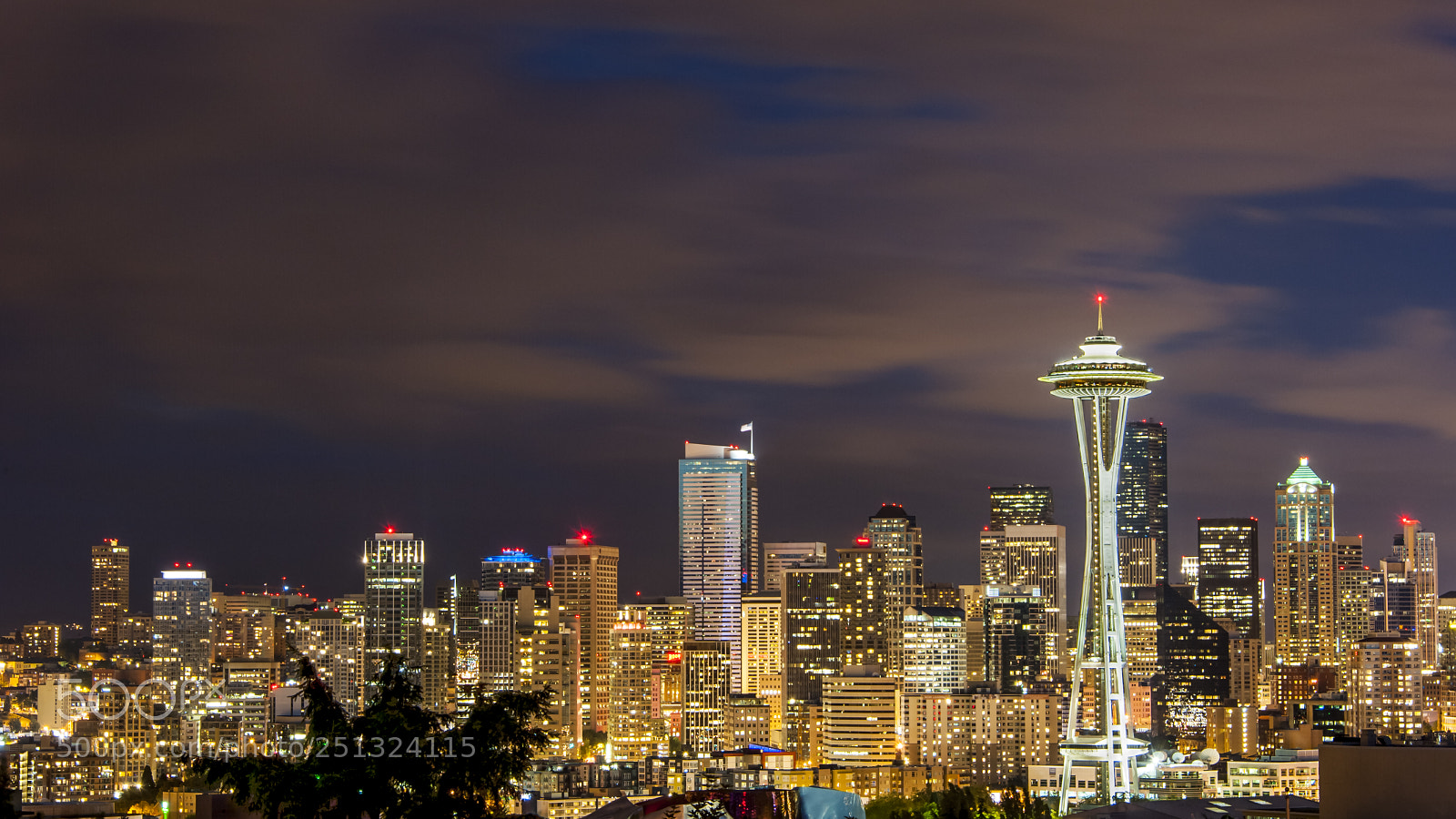 Nikon D700 sample photo. Downtown and space needle photography