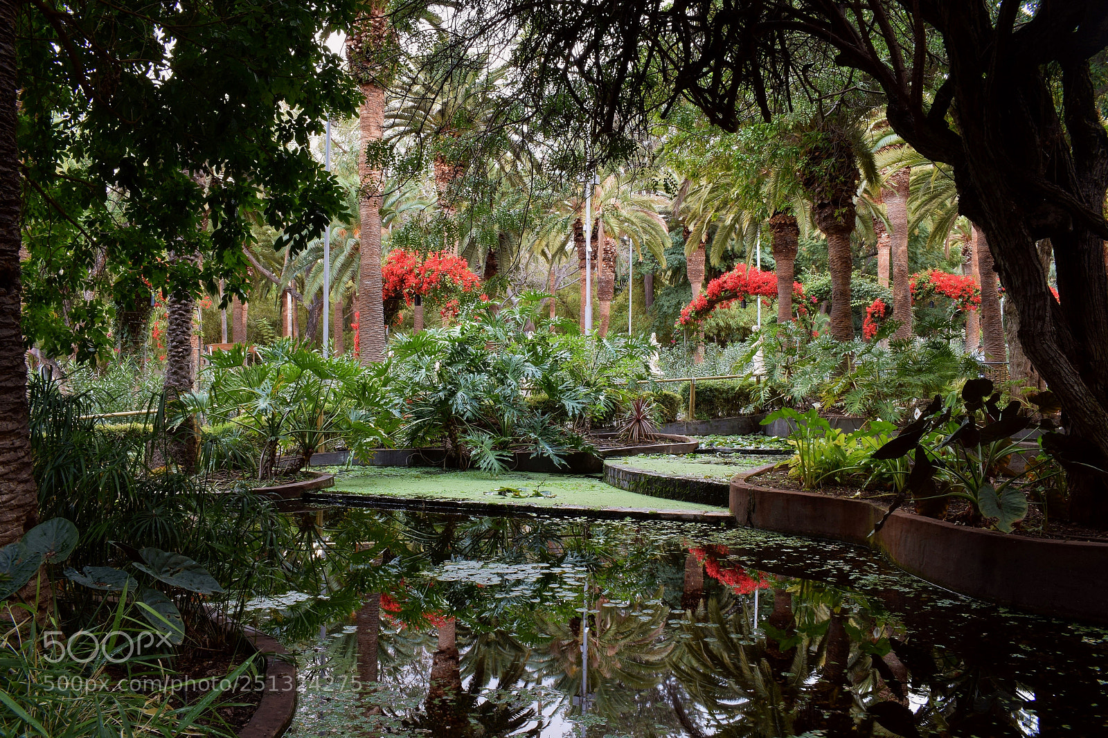 Nikon D5300 sample photo. Respirar photography