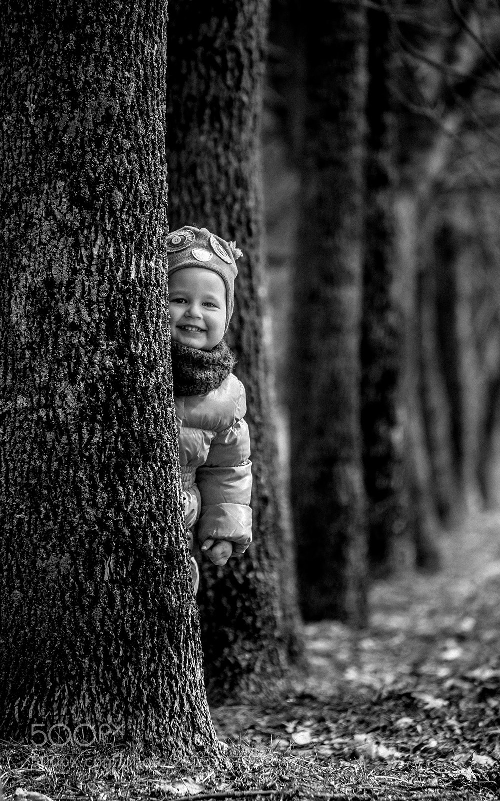 Canon EOS 5D Mark II sample photo. Pjr photography