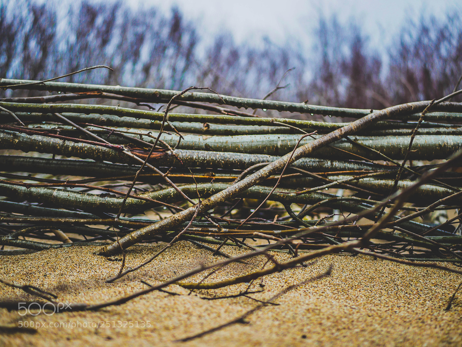 Panasonic Lumix DMC-GX85 (Lumix DMC-GX80 / Lumix DMC-GX7 Mark II) sample photo. Sand photography