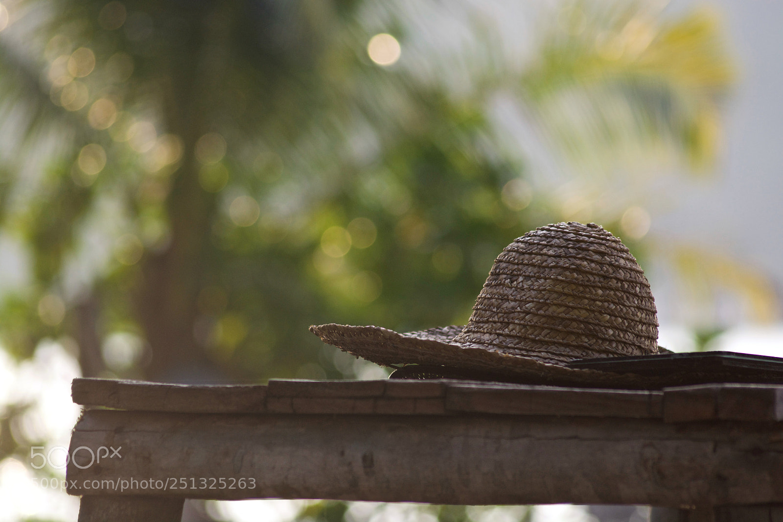 Nikon D7100 sample photo. Relax... photography