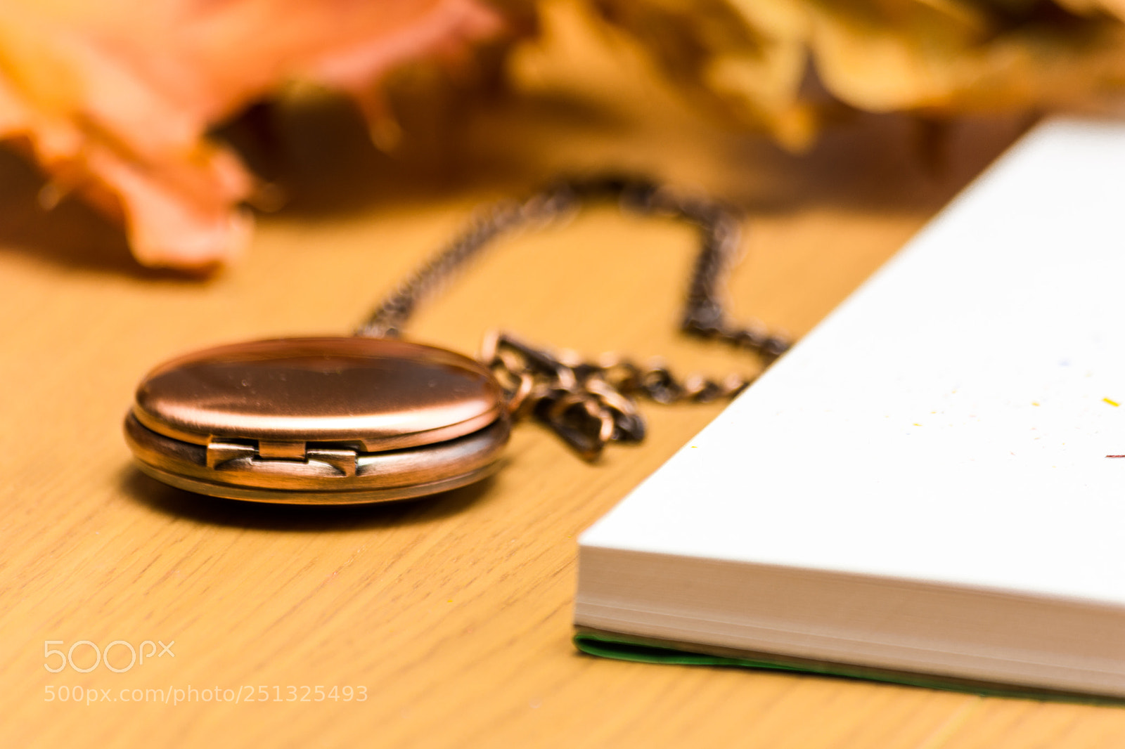 Nikon D7200 sample photo. Orologio del nonno photography