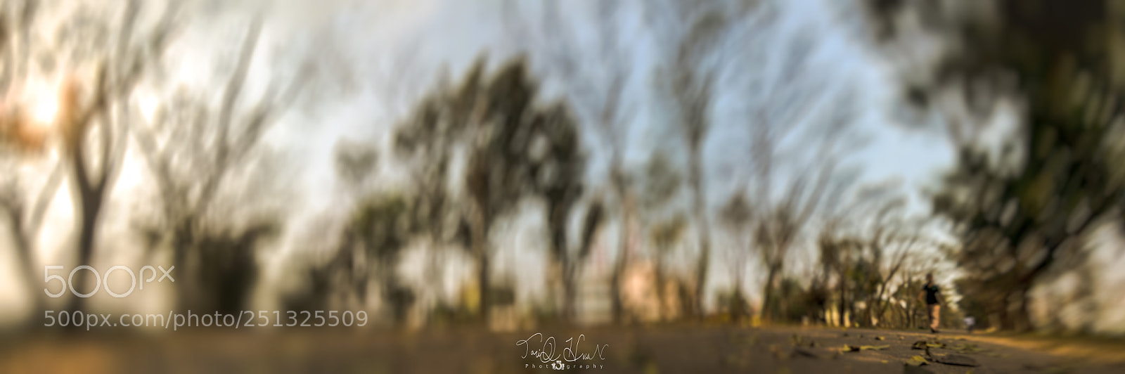 Nikon D7200 sample photo. ... photography