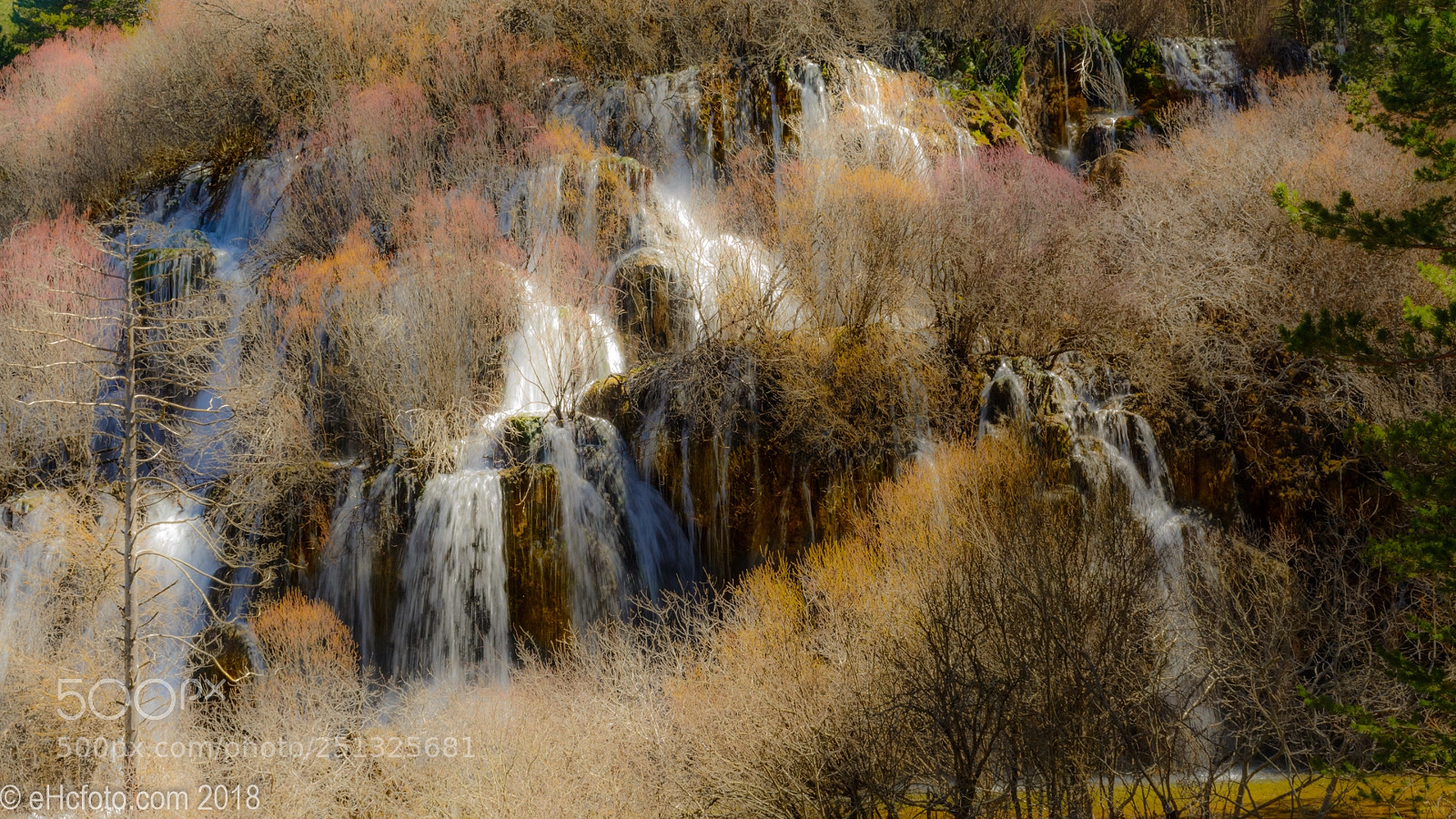 Nikon D7100 sample photo. El nacimiento del r photography