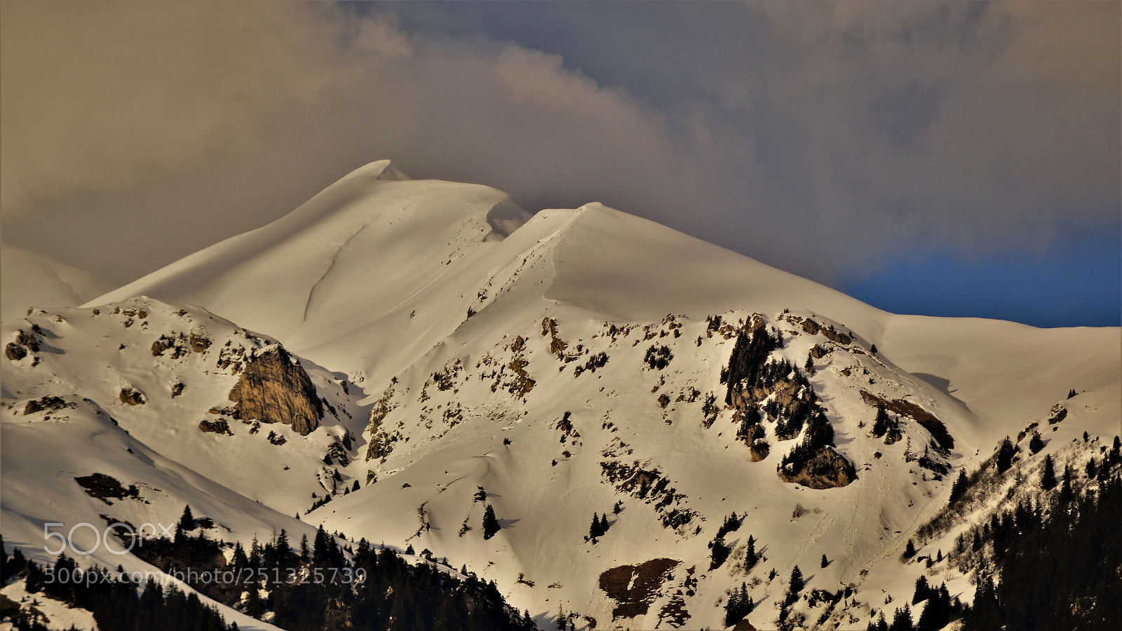 Nikon D3200 sample photo. Untitled photography