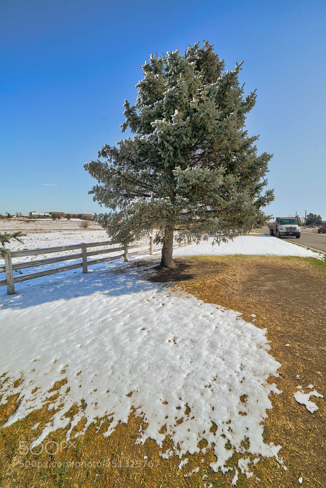 Sony a7R II sample photo. Snow, tree, grass, fence photography