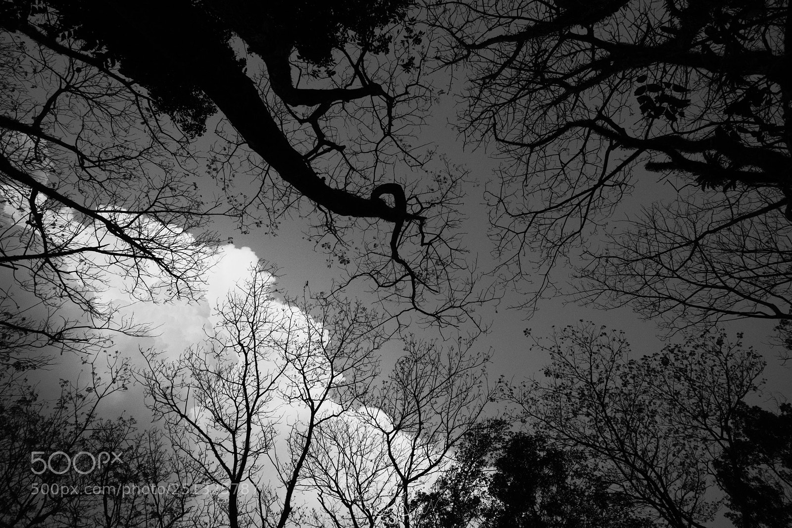 Nikon D7200 sample photo. Obsolete photography