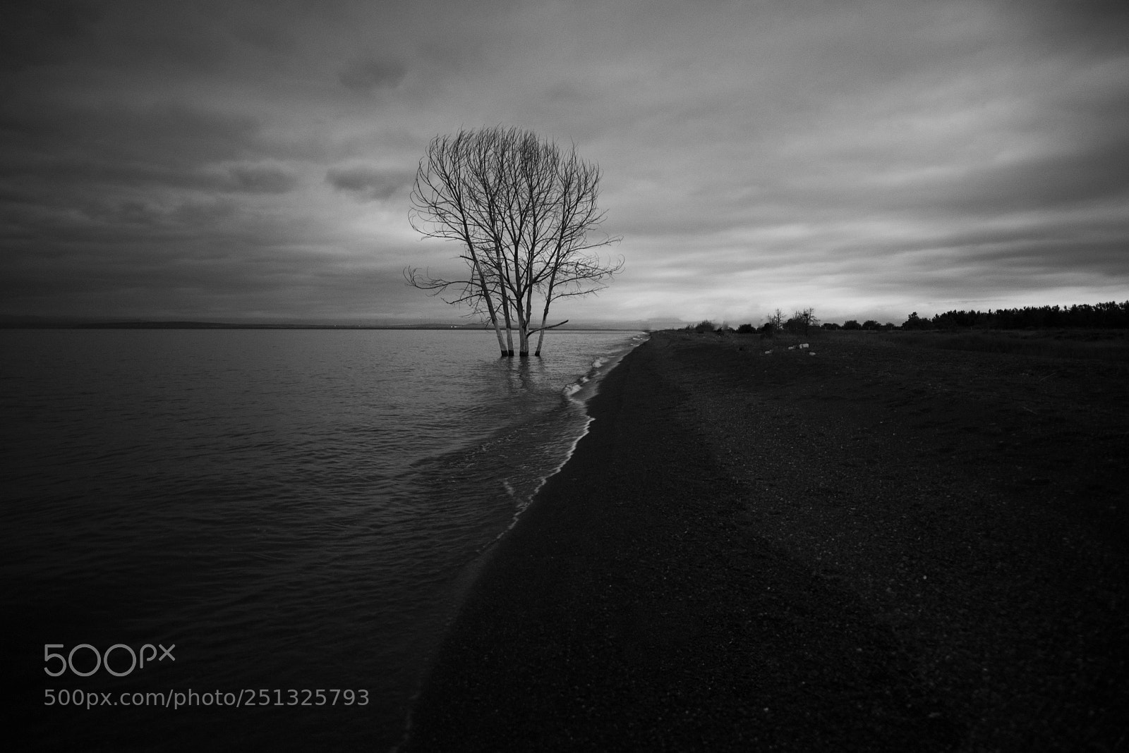 Nikon D810 sample photo. Moody nature photography