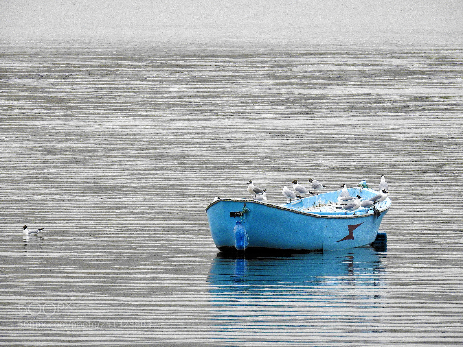 Nikon Coolpix P900 sample photo. Boat photography