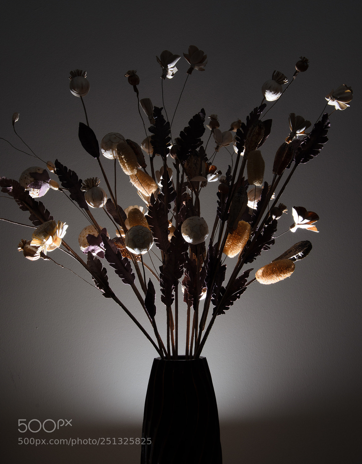 Nikon D7000 sample photo. Low key flower photography photography