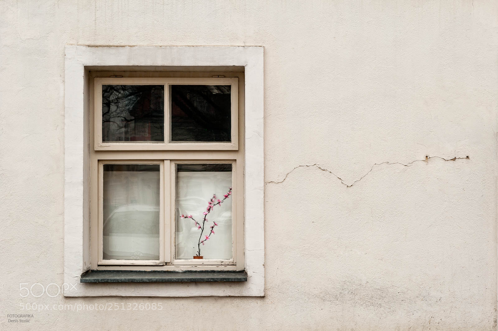 Nikon D700 sample photo. Spring is breaking photography