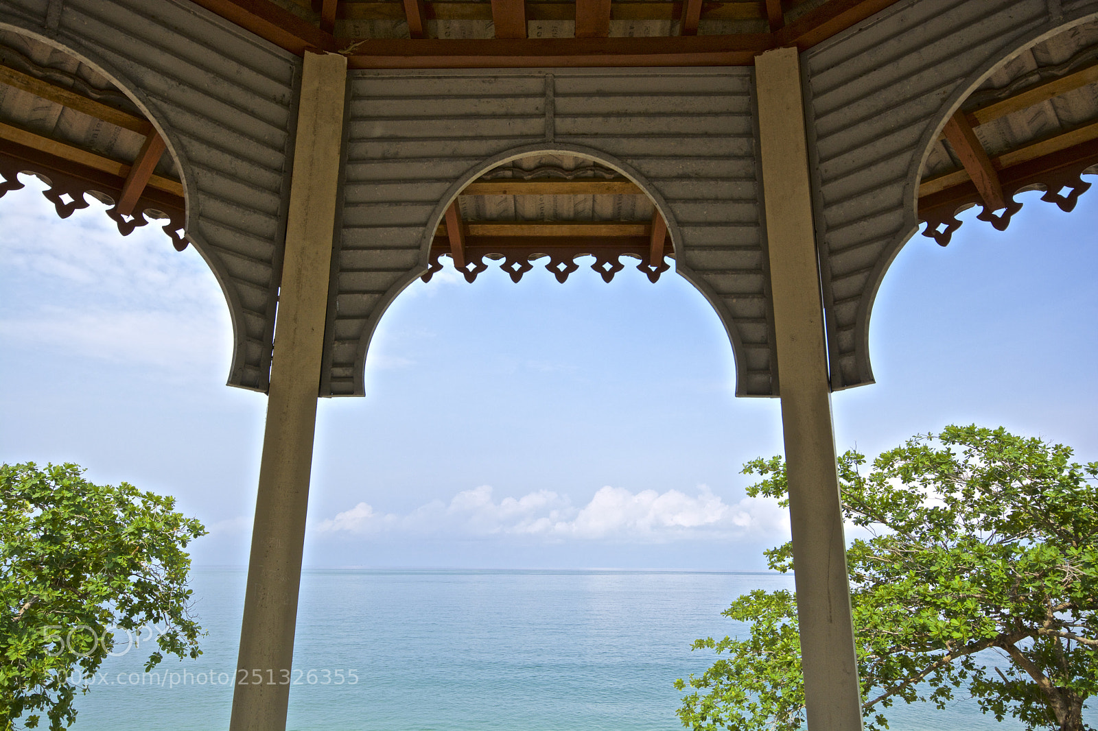 Nikon D7100 sample photo. Like a paint photography