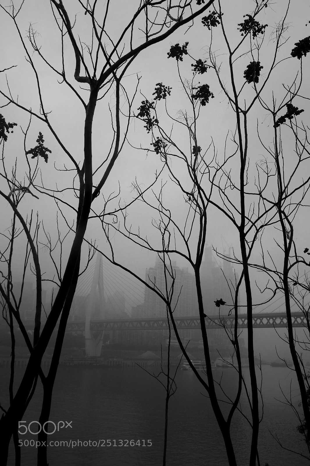 Canon EOS 650D (EOS Rebel T4i / EOS Kiss X6i) sample photo. 「empty hope」 photography