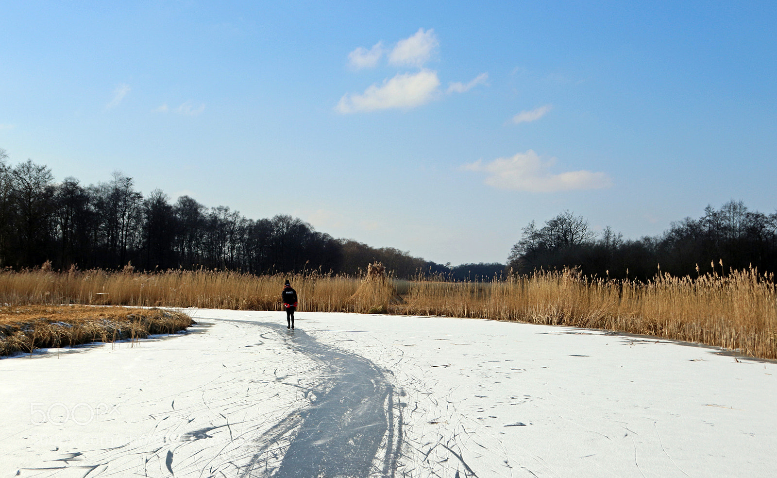 Canon EOS 800D (EOS Rebel T7i / EOS Kiss X9i) sample photo. Lonely skater 1 photography