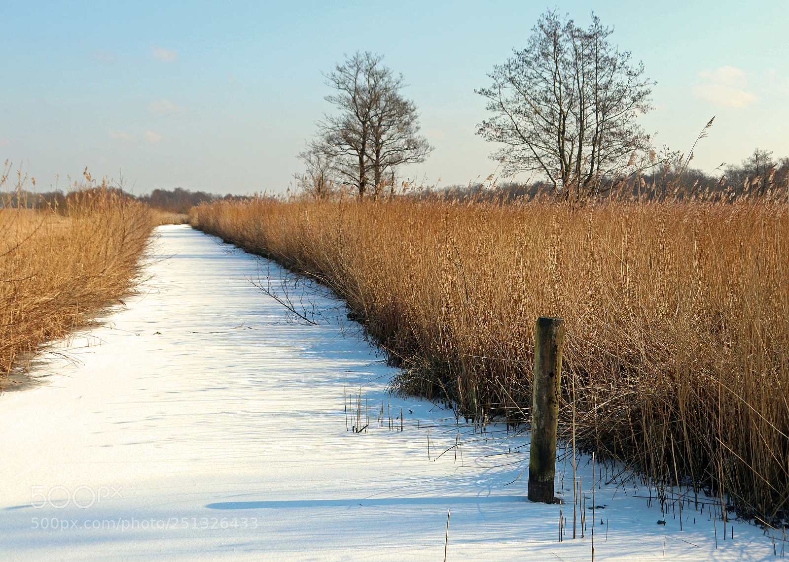 Canon EOS 800D (EOS Rebel T7i / EOS Kiss X9i) sample photo. Winter scenery photography