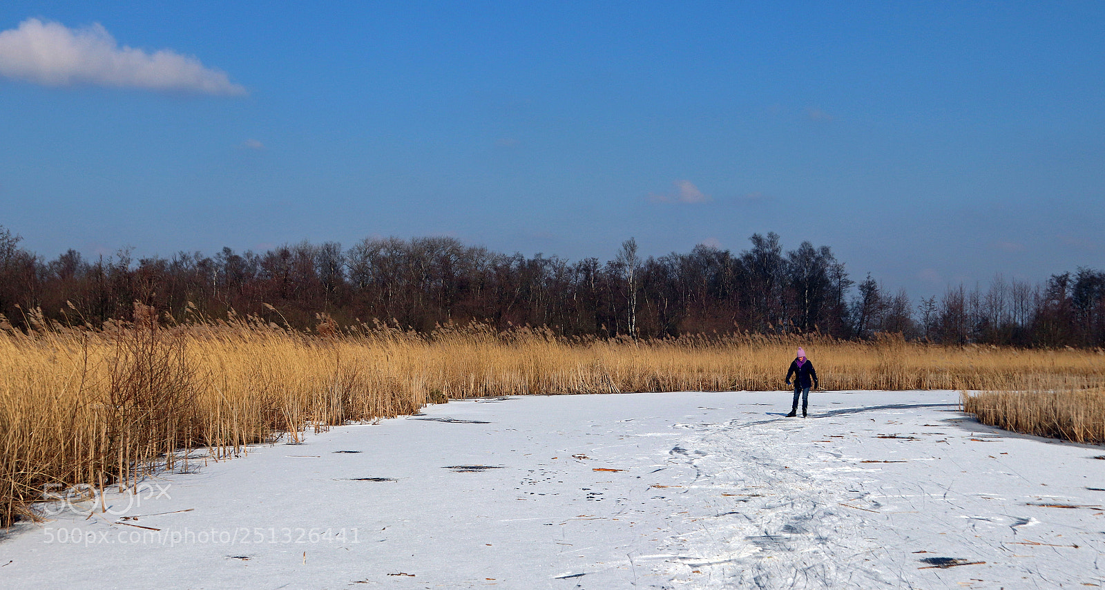 Canon EOS 800D (EOS Rebel T7i / EOS Kiss X9i) sample photo. Lonely skater 2 photography