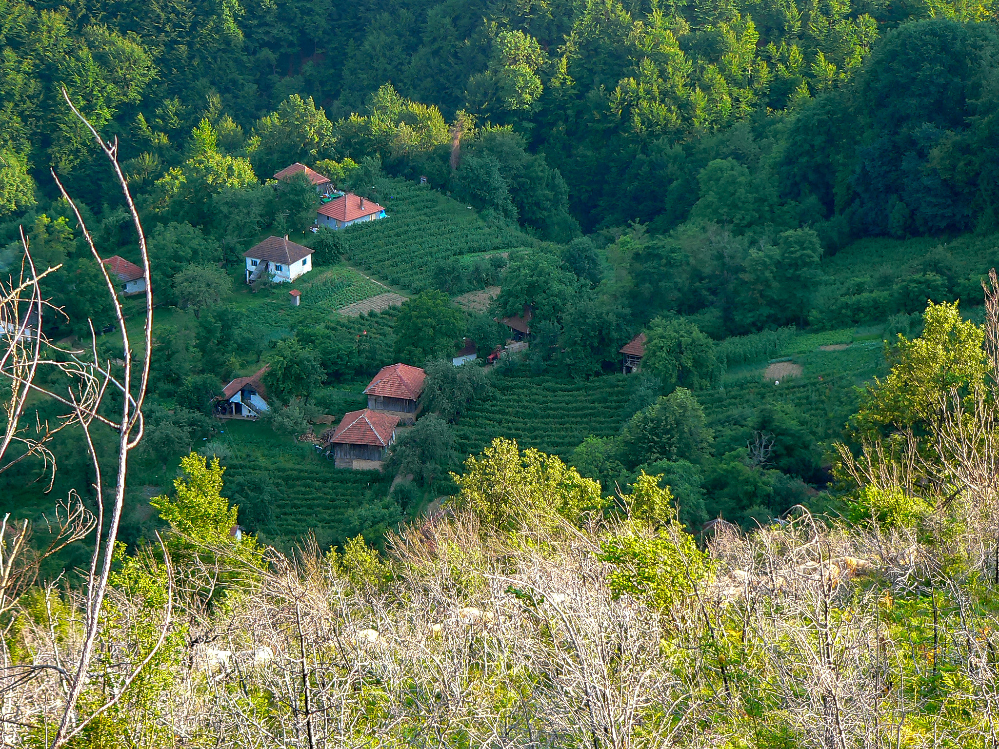 Panasonic DMC-FZ20 sample photo. Village of bzenica on the mountain goc photography