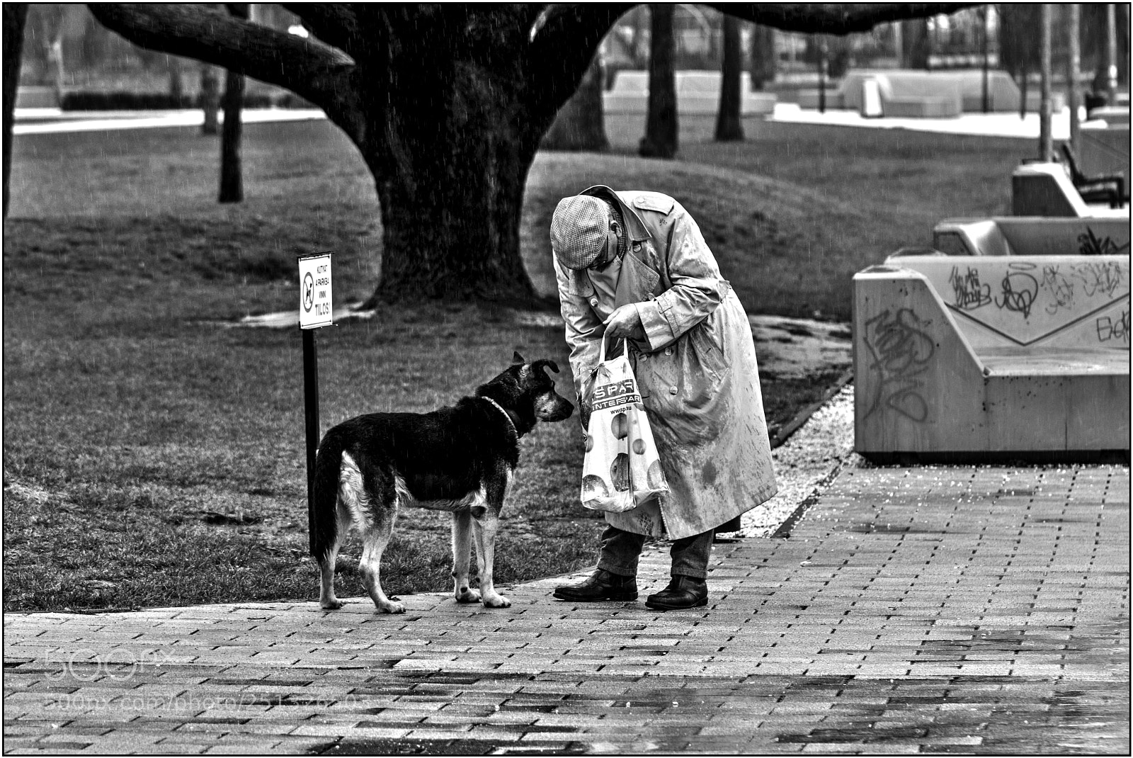 Nikon D7100 sample photo. Dogs are not allowed? photography