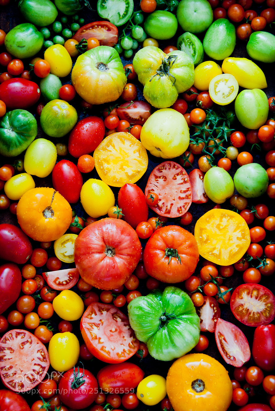 Nikon D3000 sample photo. Fresh organic tomatoes photography