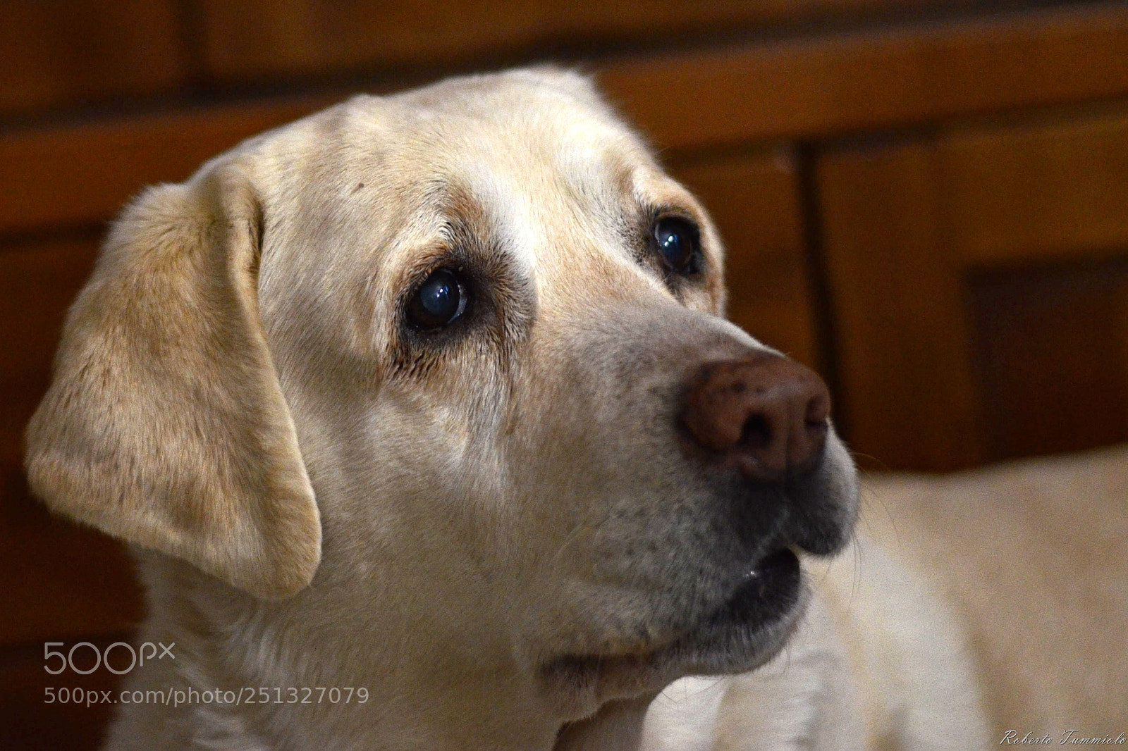 Nikon D7000 sample photo. Gaia photography