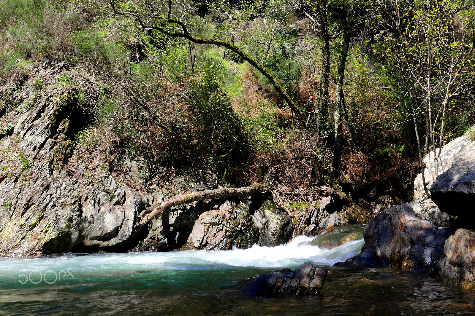 Canon EF 24-70mm F4L IS USM sample photo. Scene from a river photography