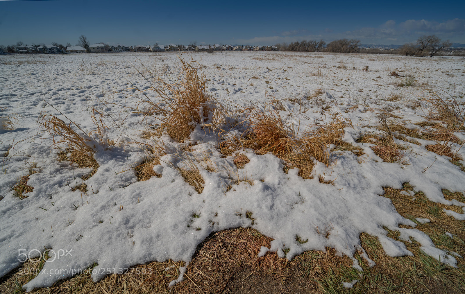 Sony a7R II sample photo. Landscape of snow and photography